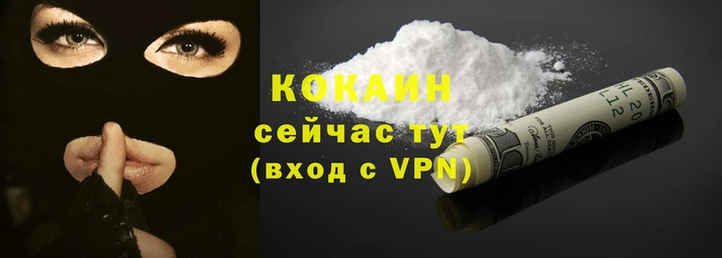 Cocaine Fish Scale  цены   Дудинка 